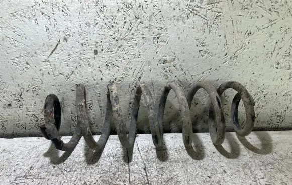 Volkswagen PASSAT B6 Rear coil spring