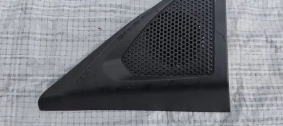 Other front door trim element