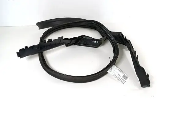 Trunk rubber seal (body)