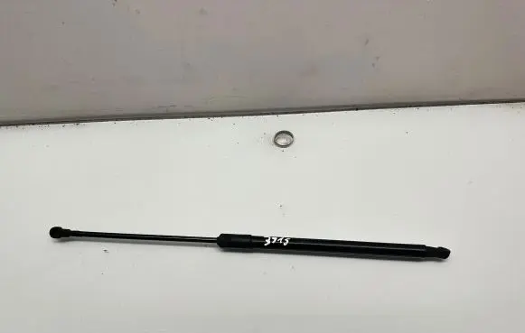 Tailgate/trunk strut/damper