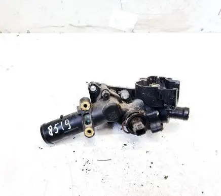 Renault Kangoo II Engine coolant pipe/hose 110609813r