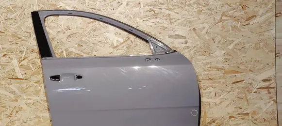 KIA Stinger Front door