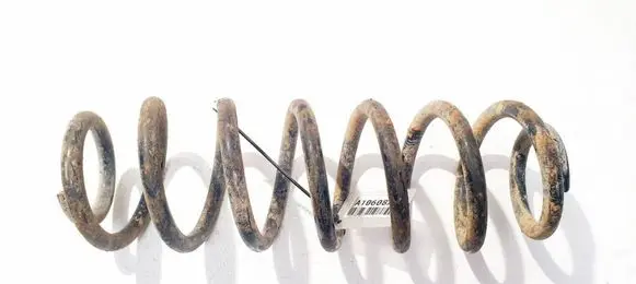 Volkswagen PASSAT B6 Rear coil spring