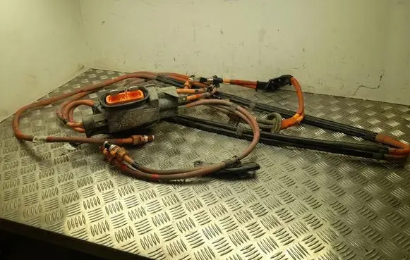 Tesla Model X Other wiring loom 105450010C