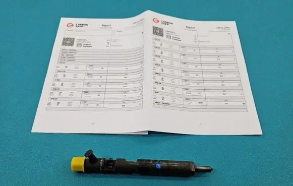 Renault Megane II Fuel injector EJBR01801A IMPRK1439431
