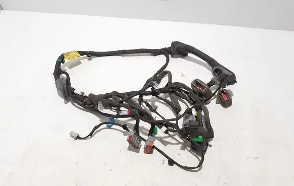 Other wiring loom