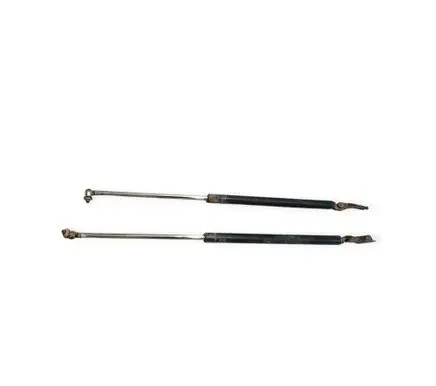 Tailgate/trunk strut/damper