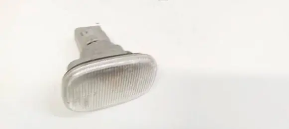 Front fender indicator light
