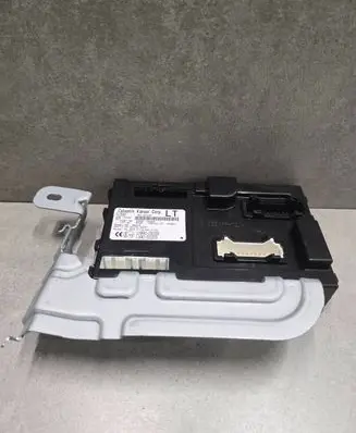Nissan Leaf II (ZE1) Comfort/convenience module 284B15SH0A 116RI000259 116RAI000258