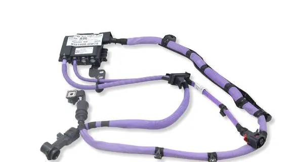 BMW X7 G07 Positive cable (battery) 765031000DMWGK2603