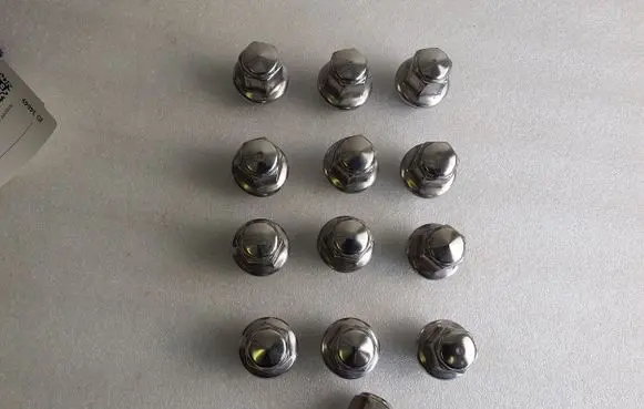 Ford Mustang Mach-E Nuts/bolts 