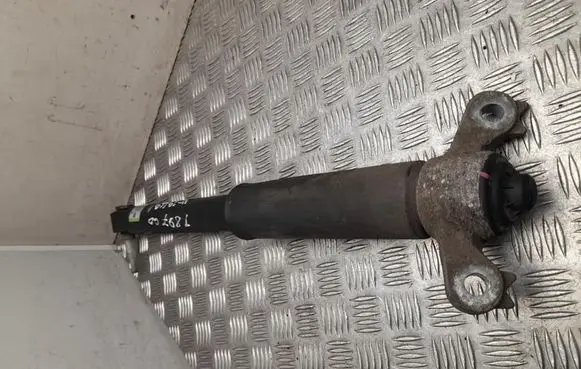 Ford Explorer VI Rear shock absorber/damper LB5C18W002