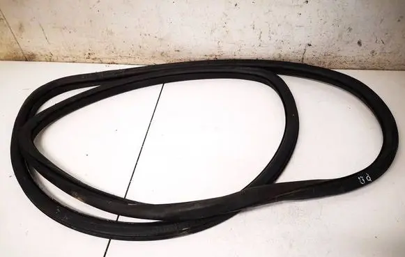 Volkswagen PASSAT B6 Rubber seal front coupe door