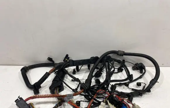 BMW X5 E53 Engine installation wiring loom 7790765 EMB85T8 29042605