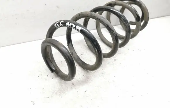 Volkswagen Golf V Rear coil spring