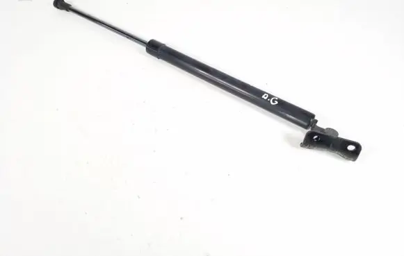 Tailgate strut