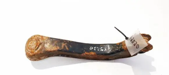 Honda Accord Rear upper control arm/wishbone