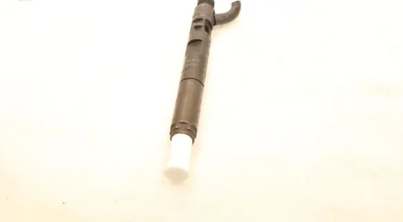 Renault Kangoo II Fuel injector 28237259