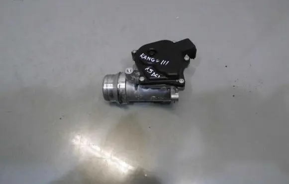 Renault Kangoo II Throttle valve 161A09794R