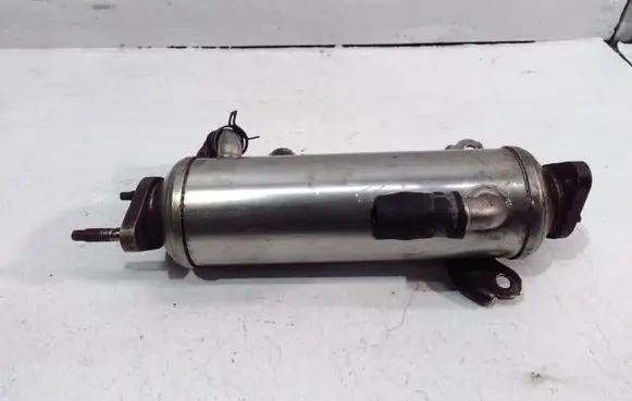 Chevrolet Captiva EGR valve cooler