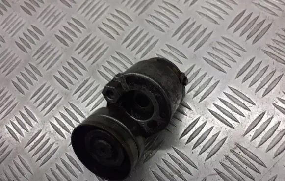 Renault Scenic II - Grand scenic II Alternator belt tensioner pulley 