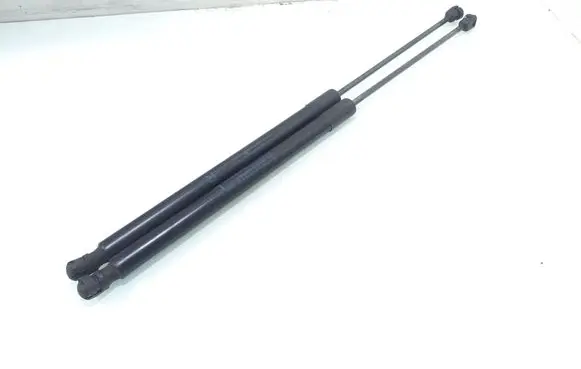Tailgate/trunk strut/damper
