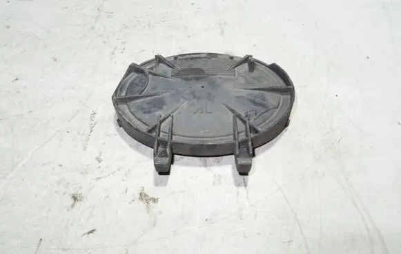Headlight/headlamp dust cover