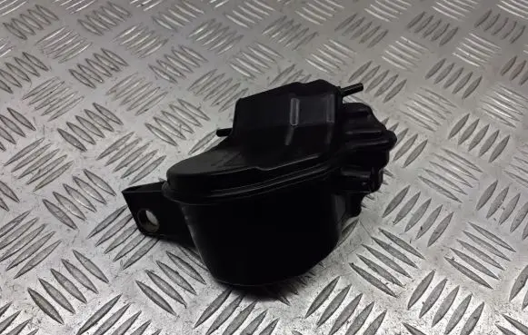 Ford Focus Turbo solenoid valve