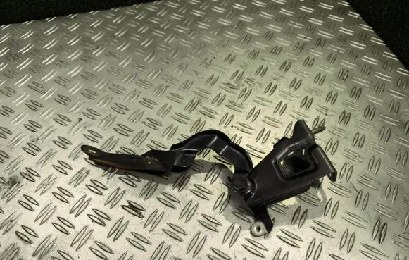 Opel Vivaro Engine bonnet/hood hinges 654010249R 93458897