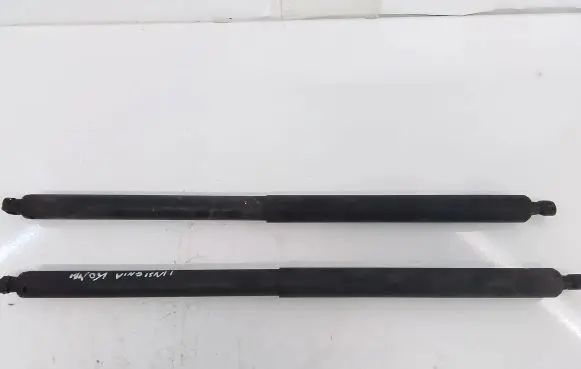Tailgate strut
