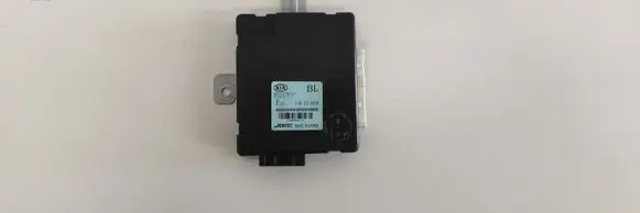 KIA Sorento Other control units/modules 10R021806 954003E310
