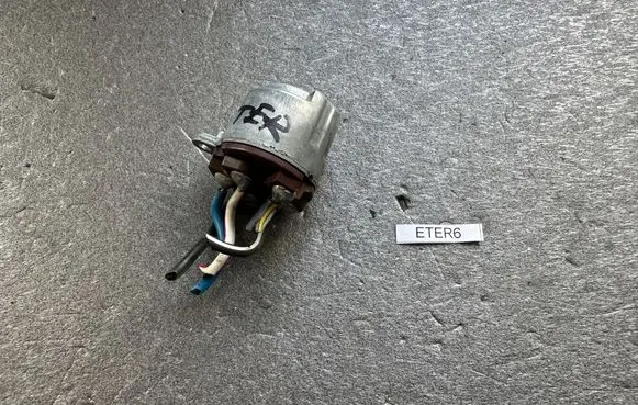 Nissan Terrano Ignition lock 4870023G25