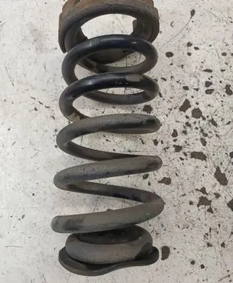 Opel Insignia A Rear coil spring 