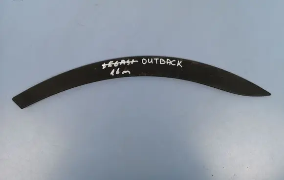 Subaru Outback (BS) Rear door trim (molding) E2017AL006
