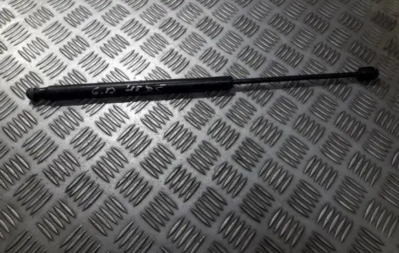 Tailgate/trunk strut/damper