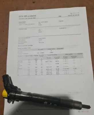KIA Carnival Fuel injector 0445116018 338002E000 091209
