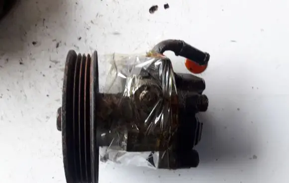 Hyundai Terracan Power steering pump