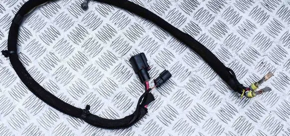 Dodge Challenger Other wiring loom P68213921AC