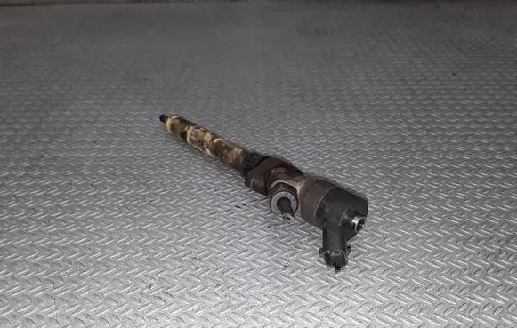 Citroen C8 Fuel injector 0445110036
