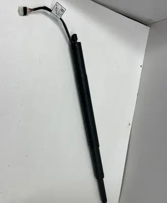 Tailgate strut