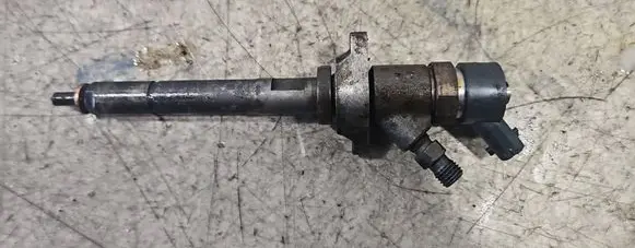 Peugeot Partner Fuel injector 0445110239