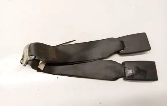 Dodge Magnum Rear seatbelt buckle 