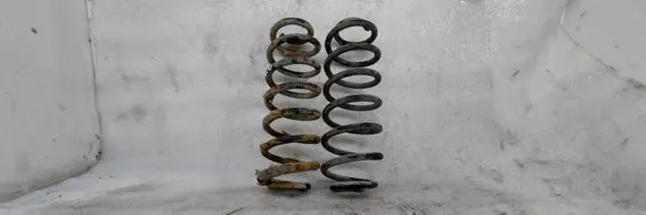 Rear coil spring