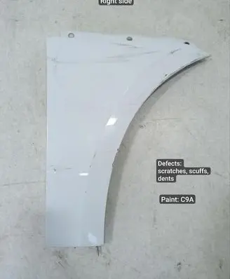 Porsche Macan (95B) Fender