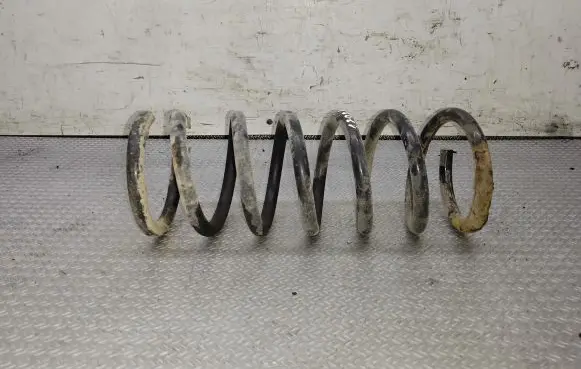 Ford S-MAX Rear coil spring