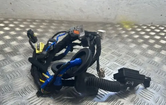 KIA EV6 Front door wiring loom 91605CV440