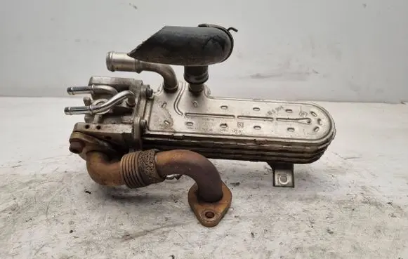 Volkswagen Golf V EGR valve cooler 038131513AD