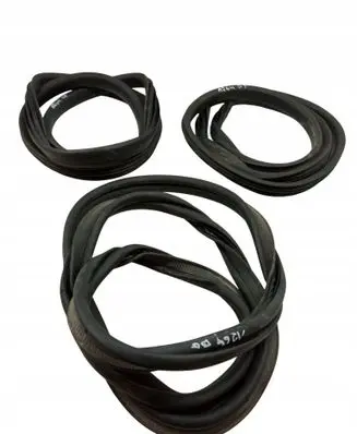 Renault Clio IV Rubber seal front door (on door) 