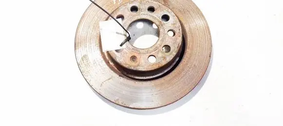 Volkswagen Golf V Front brake disc ventiliuojamas