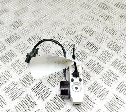 Tesla Model X Air conditioning (A/C) expansion valve 600848100B